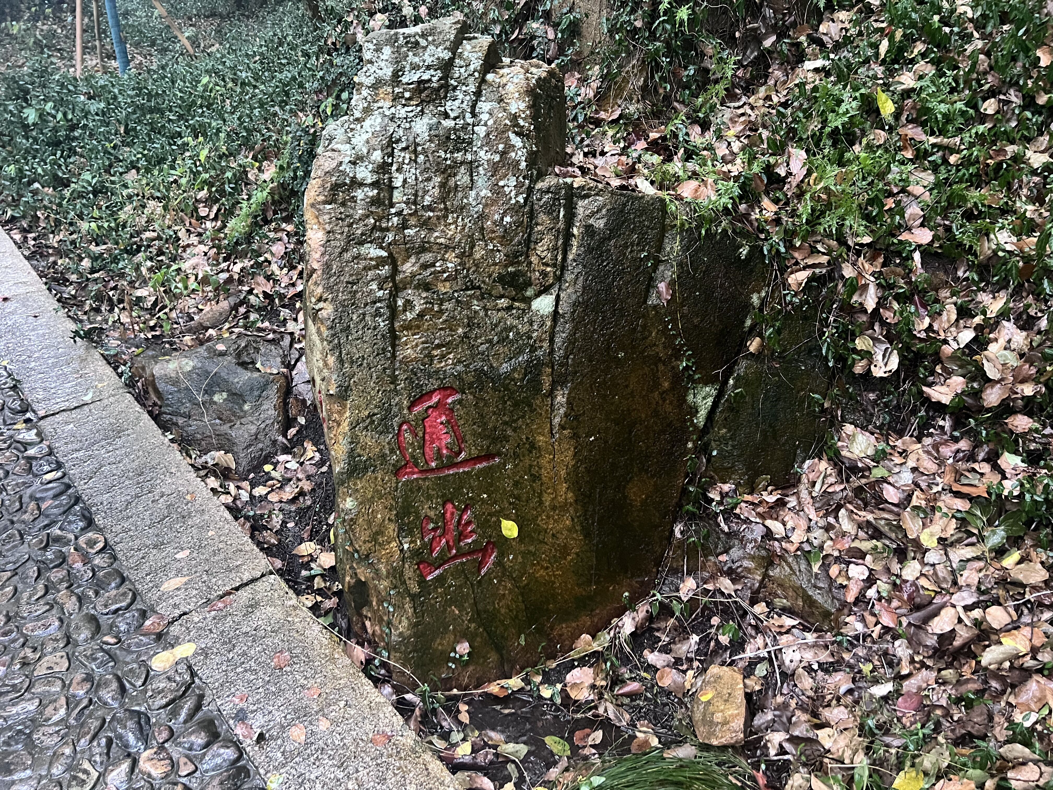 素人无码